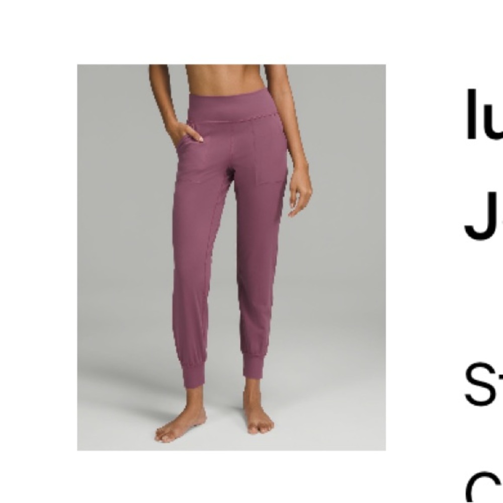 Lululemon Align Joggers (full length)